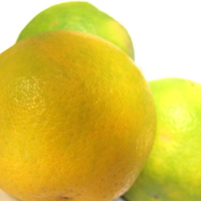 Natural Citrus