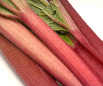 Rhubarb Extract